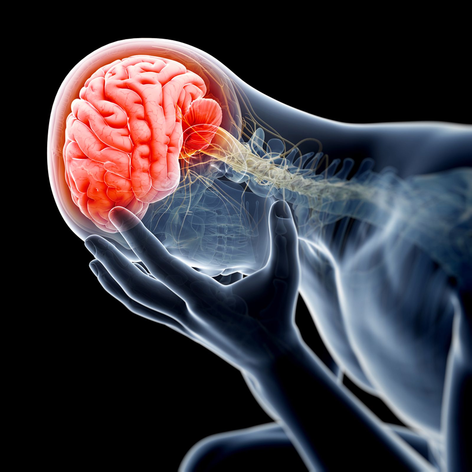 Brain Injuries