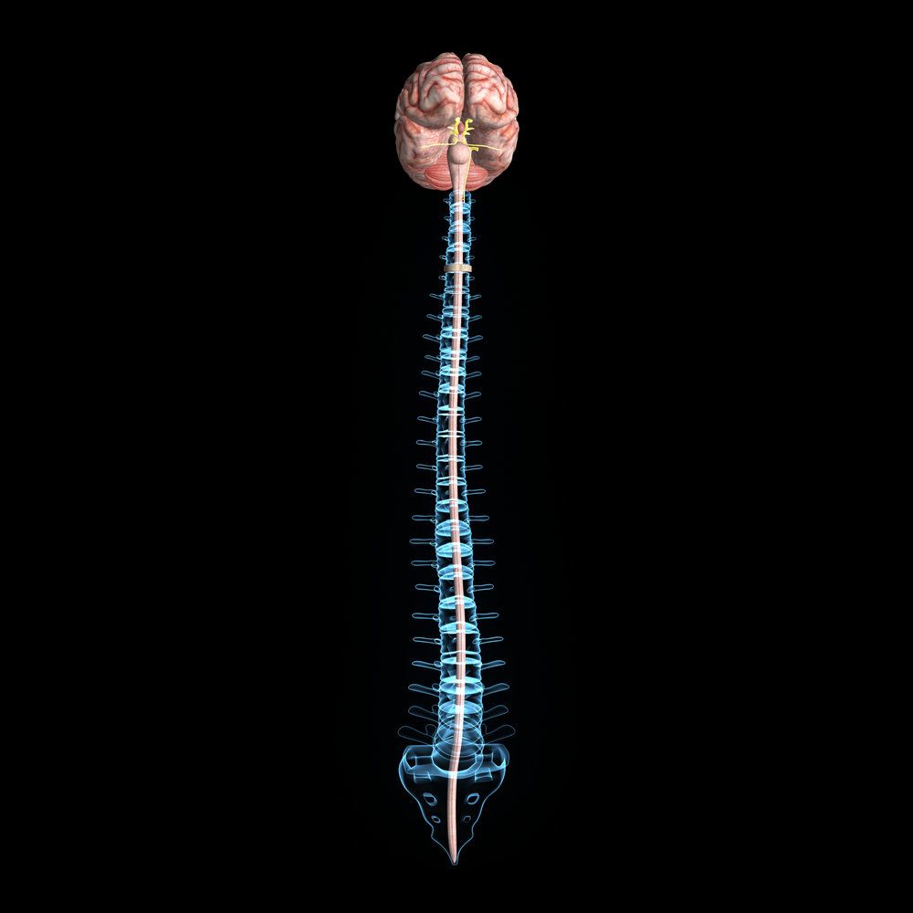 Spinal Injuries